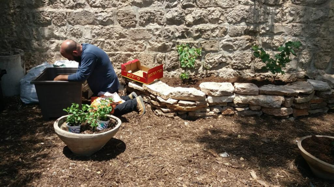 The Planting of the Shechina in Jerusalem