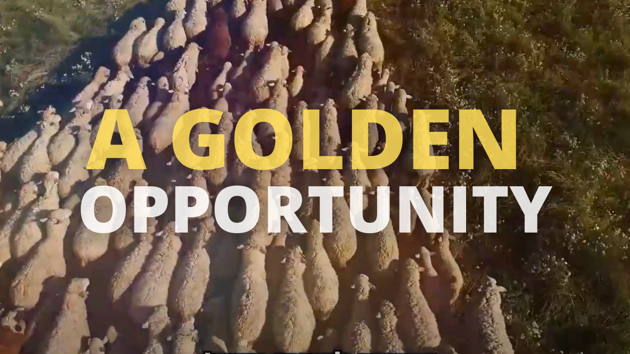 A Golden Opportunity - Ateret Cohanim